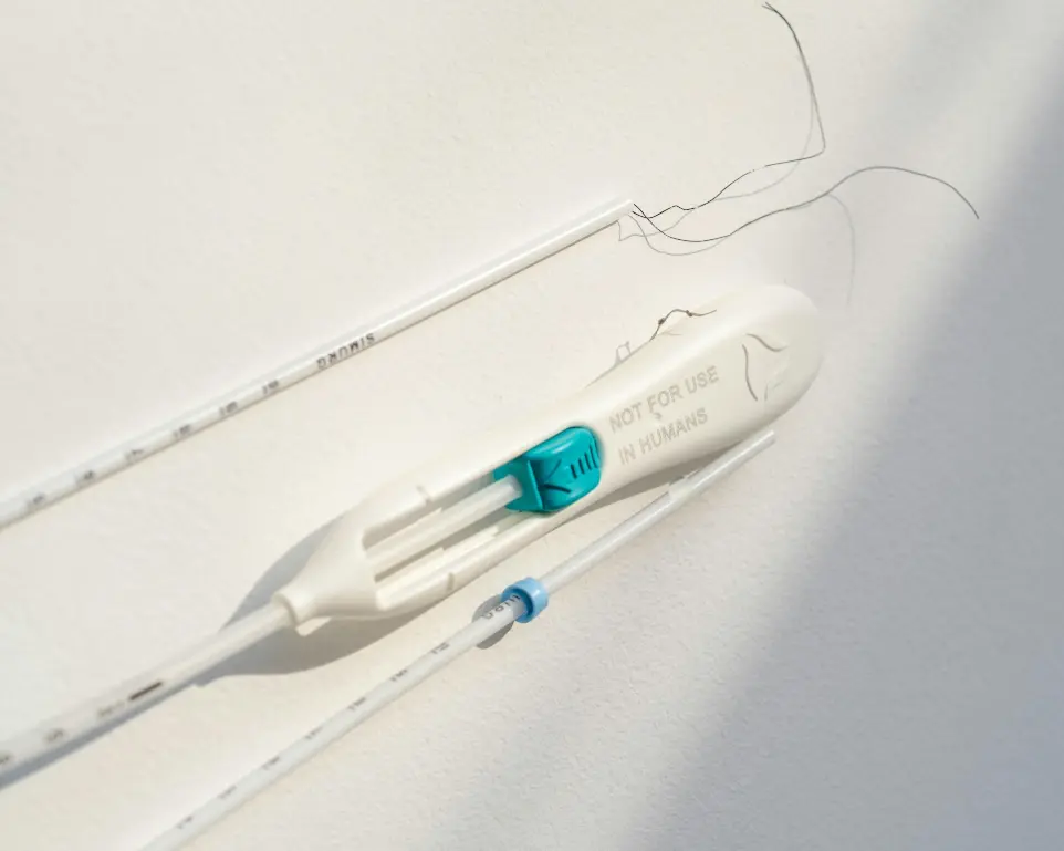 two toothbrushes are attached to a white wall